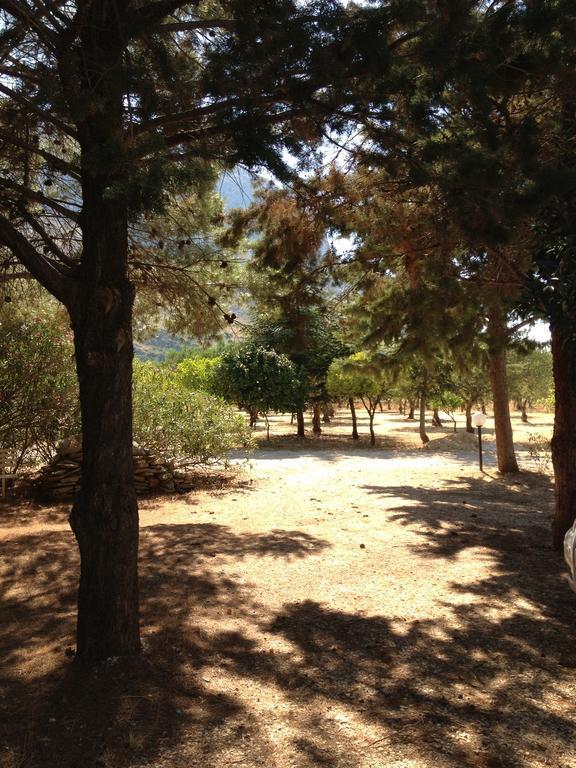 La Giara San Vito Lo Capo Villa Castelluzzo Kültér fotó