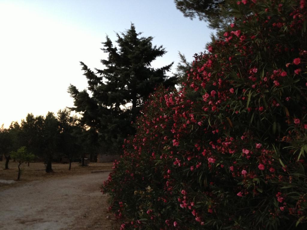 La Giara San Vito Lo Capo Villa Castelluzzo Kültér fotó